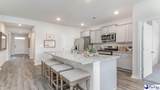 524 Fiddler Run Lane - Photo 3