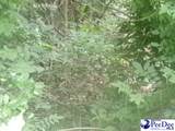 00 Trailwood Dr - Photo 2