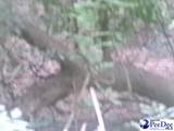 00 Trailwood Dr - Photo 3