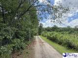  Wild Spring Road - Photo 3