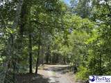  Wild Spring Road - Photo 4