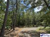  Wild Spring Road - Photo 5