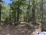  Wild Spring Road - Photo 6