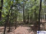  Wild Spring Road - Photo 7