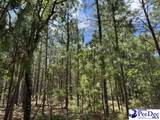  Wild Spring Road - Photo 8