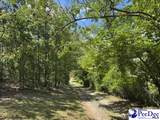  Wild Spring Road - Photo 9