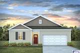 3308 Tulip Tree Lane - Photo 1