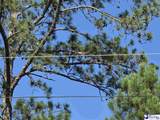 0000000 Black Creek Road - Photo 10