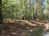 0000000 Black Creek Road - Photo 11