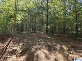 0000000 Black Creek Road - Photo 12