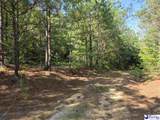 0000000 Black Creek Road - Photo 13