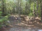 0000000 Black Creek Road - Photo 14