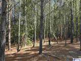 0000000 Black Creek Road - Photo 15