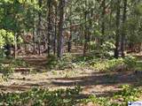0000000 Black Creek Road - Photo 4