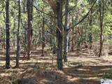 0000000 Black Creek Road - Photo 5