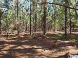 0000000 Black Creek Road - Photo 6