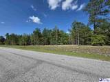 0000000 Black Creek Road - Photo 9