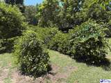 749 Henry St Ext - Photo 8