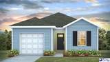 3314 Royal Star Lane - Photo 1
