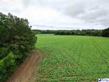 45+/- acres Road 300 - Photo 1