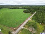 45+/- acres Road 300 - Photo 6