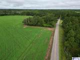 45+/- acres Road 300 - Photo 7
