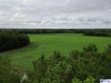 45+/- acres Road 300 - Photo 8