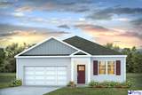 716 Magnolia Farms Lane - Photo 1