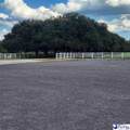 2565 Williamsburg County Highway - Photo 23
