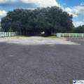 2565 Williamsburg County Highway - Photo 24