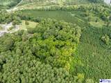  Williamson Drive - Photo 4
