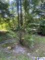 2752 Highway 301 - Photo 12