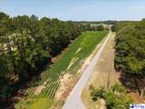 2602 Nettles Rd - Photo 5