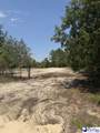 Lot 2 Patrick Highway - Photo 3