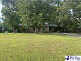 1002 Pitty Pat Drive - Photo 1