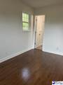 1002 Pitty Pat Drive - Photo 13