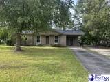 1002 Pitty Pat Drive - Photo 2