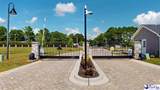1991 Belardi Vera Drive - Photo 44