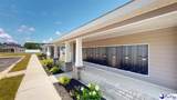 1991 Belardi Vera Drive - Photo 49
