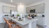 729 Magnolia Farms Lane - Photo 8