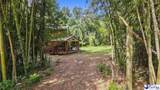 2407 Nichols Hwy - Photo 4