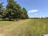 Tract 2 Off Of Hwy 403 - Photo 13