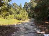 Tract 2 Off Of Hwy 403 - Photo 7