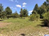 Tract 2 Off Of Hwy 403 - Photo 8
