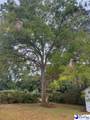 202 3rd Avenue - Photo 39