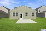 3834 Poodle Path Drive (Lot 135) - Photo 2