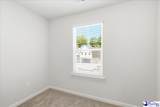 3834 Poodle Path Drive (Lot 135) - Photo 4