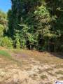 TBD LOT 14 Lincoln Place - Photo 5