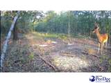 TBD. Ousleydale Road - Photo 5