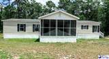 818 Pearlie Road - Photo 1